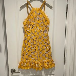 Aijek Mini Dress